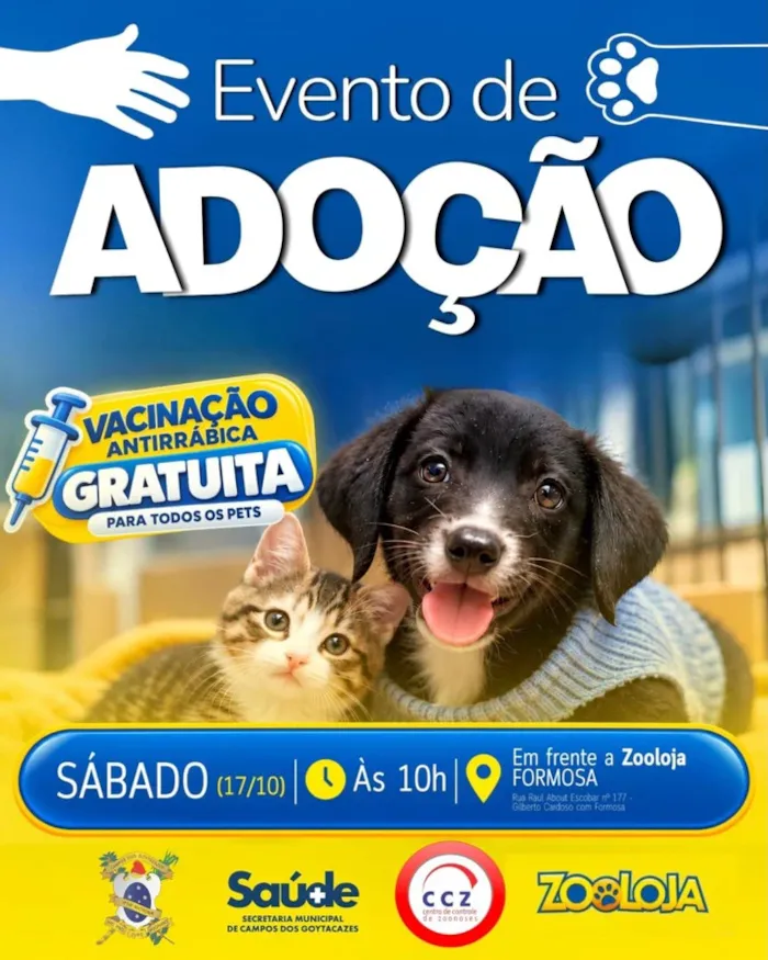 Evento de adoção em Campos dos Goytacazes acontece em 17 de outubro, a partir das 10h, com cães, gatos e vacinação antirrábica gratuita.