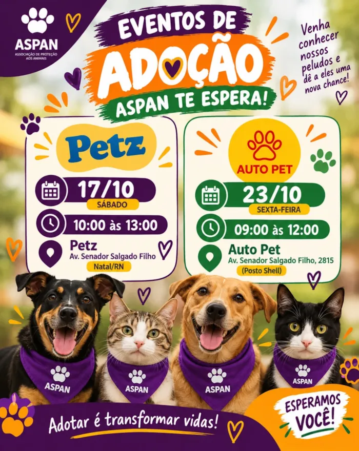 Feira de adoção em Natal acontece em 17 de outubro, das 10h às 13h, na Petz, com cães e gatos à espera de um lar seguro e amoroso.