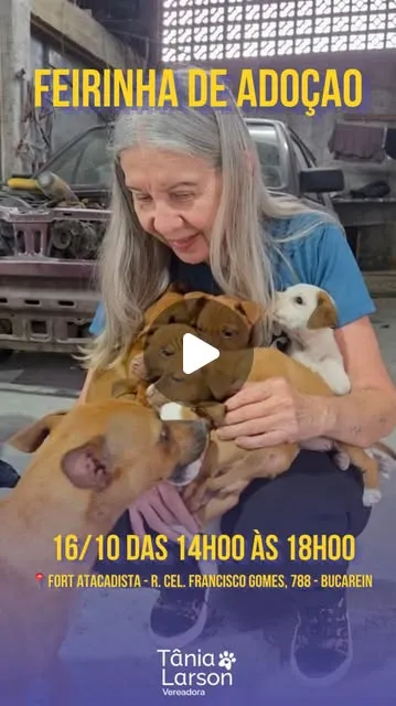 Feirinha de adoção reúne filhotes em Joinville