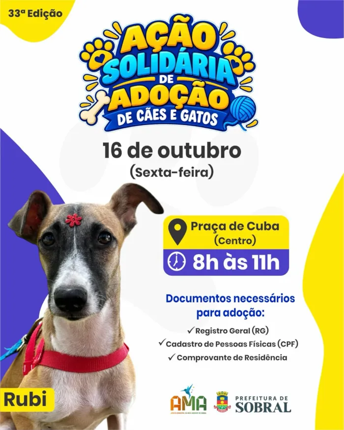 Ação de adoção em Sobral ocorre em 16 de outubro, das 8h às 11h, com cães e gatos castrados à espera de lares responsáveis.