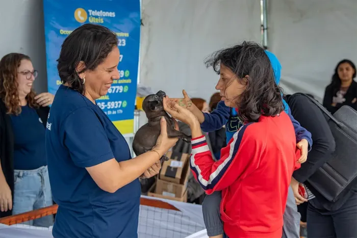 Feira de adoção em Macaé acontece em 17 de outubro, no Shopping Plaza Macaé, com vacinação, testes e animais à espera de um lar.