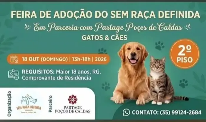 Feira de cães e gatos em Poços de Caldas acontece em 18 de outubro, das 13h às 18h, com animais para adoção responsável.