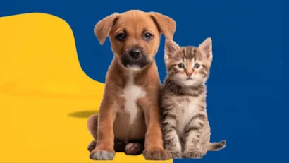 Feira de adoção em Marília reúne cães e gatos