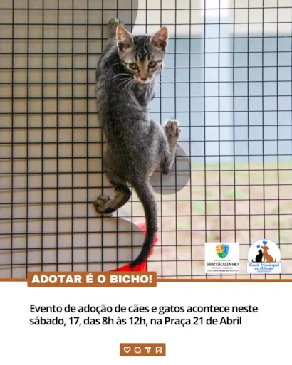 Feira de adoção de cães e gatos em Sertãozinho