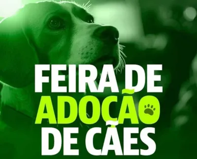 Feira de adoção responsável de cães em Iturama