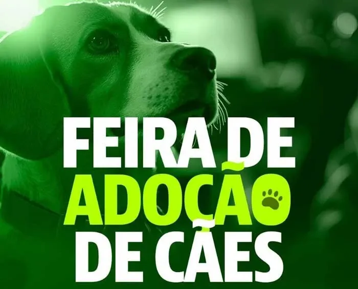 Feira de cães em Iturama acontece em 17 de outubro, a partir das 9h, com animais castrados, vacinados e microchipados para adoção.
