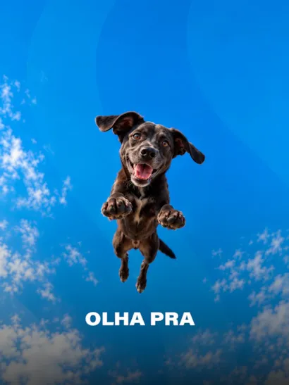 Evento para adoção responsável de cães em Osasco