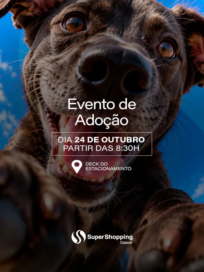 Evento para adoção responsável de cães em Osasco - imagem 5