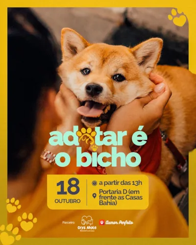 Feira de adoção de pets e animais em Vila Velha