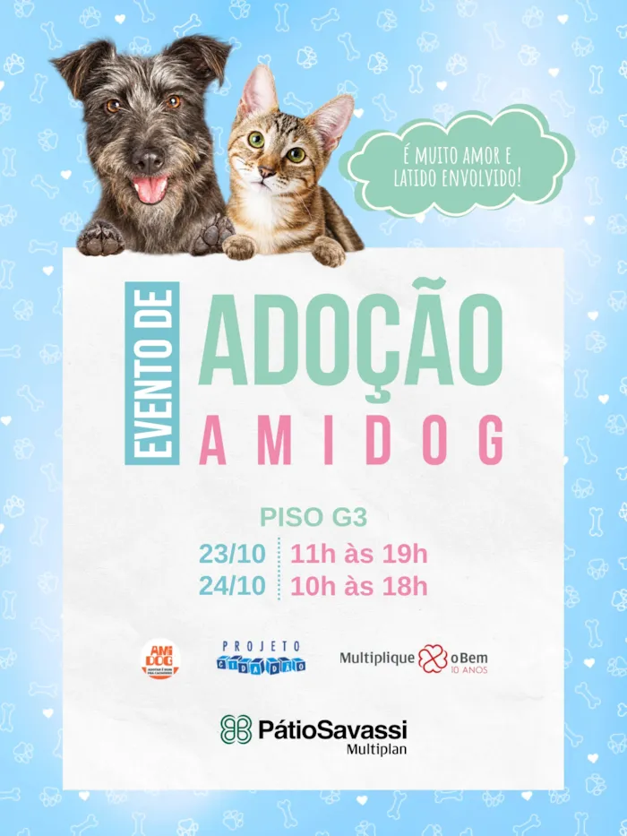 Evento Evento de adoção Amidog chega a Belo Horizonte