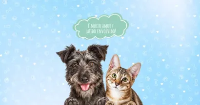 Feira de adoção AMIDOG em Belo Horizonte - MG