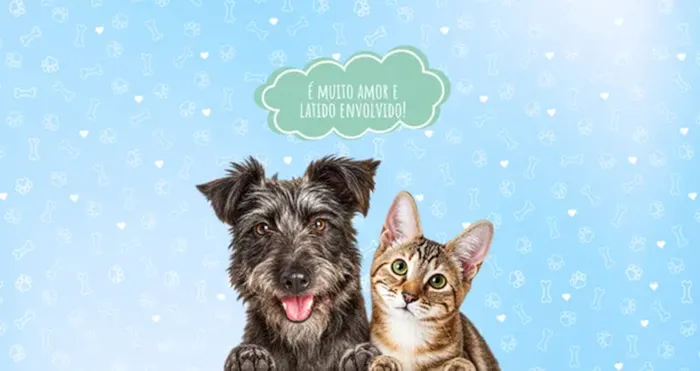 Evento Feira de adoção AMIDOG em Belo Horizonte - MG