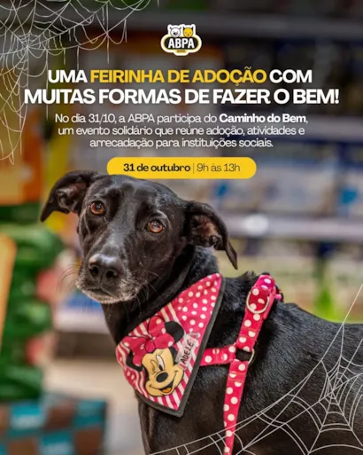 Feira de adoção no Caminho do Bem em Salvador
