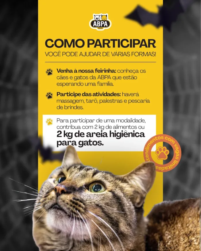 Feira de adoção no Caminho do Bem em Salvador - imagem 2