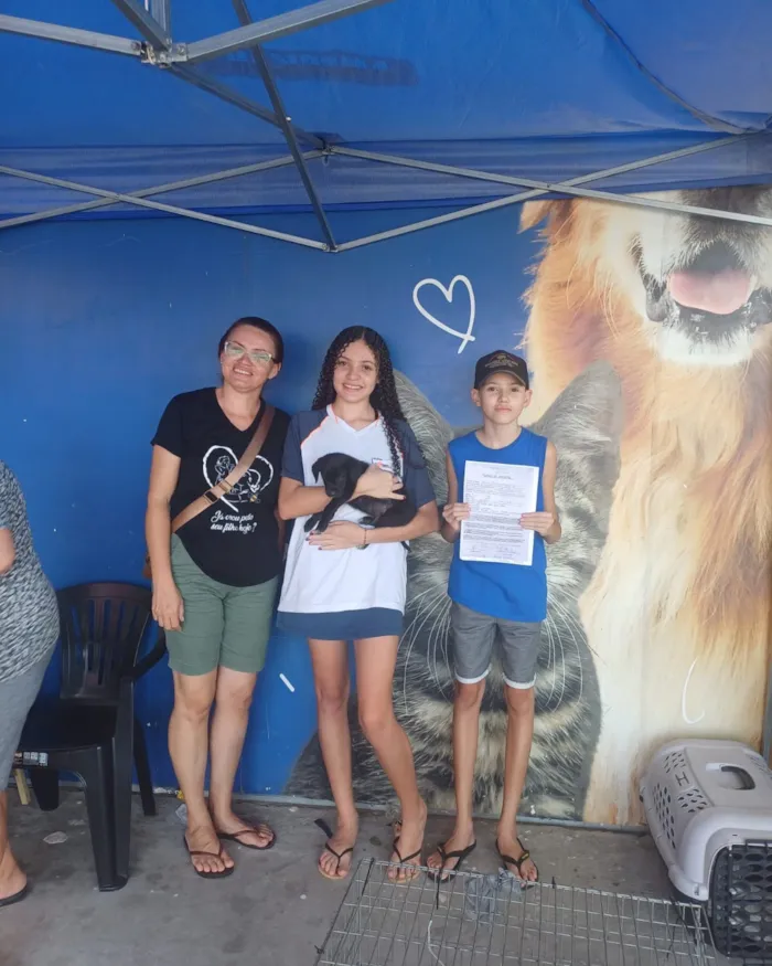 Feira de adoção em São Pedro da Aldeia ocorre em 23 de outubro, das 10h às 15h, com cães, gatos e vacinação gratuita.