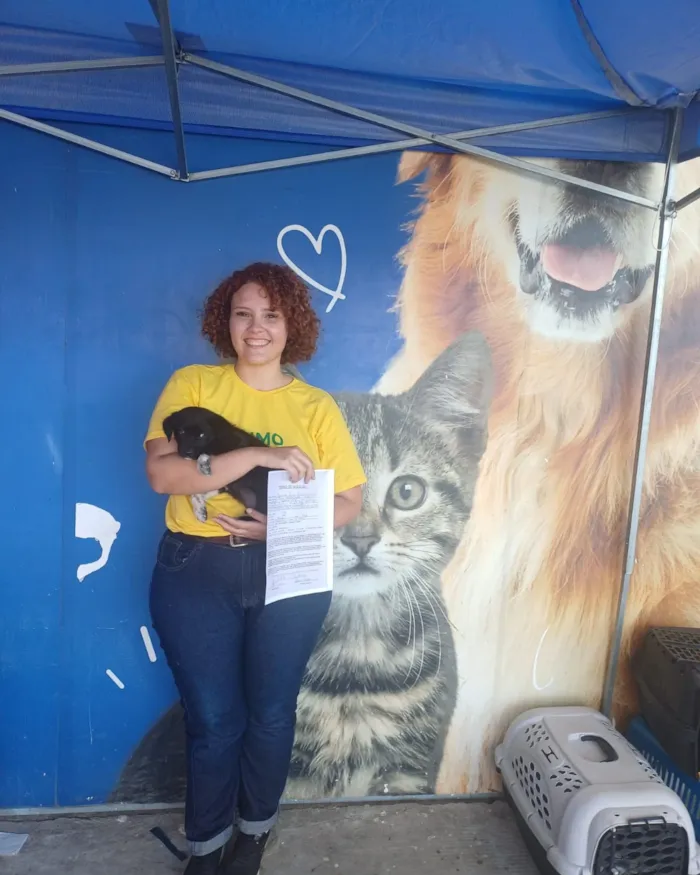 Feira de adoção de cães e gatos em São Pedro da Aldeia - imagem 2