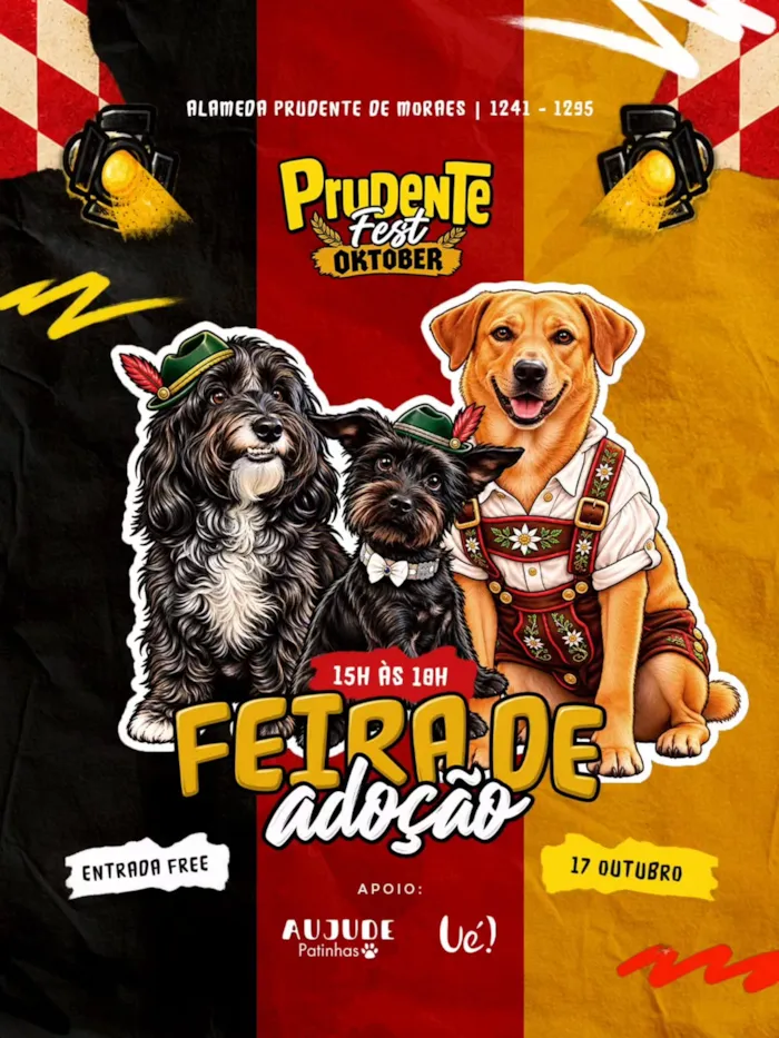 Feira de adoção em Curitiba ocorre em 17 de outubro, das 15h às 18h, na Alameda Prudente de Moraes, com animais à espera de um lar.