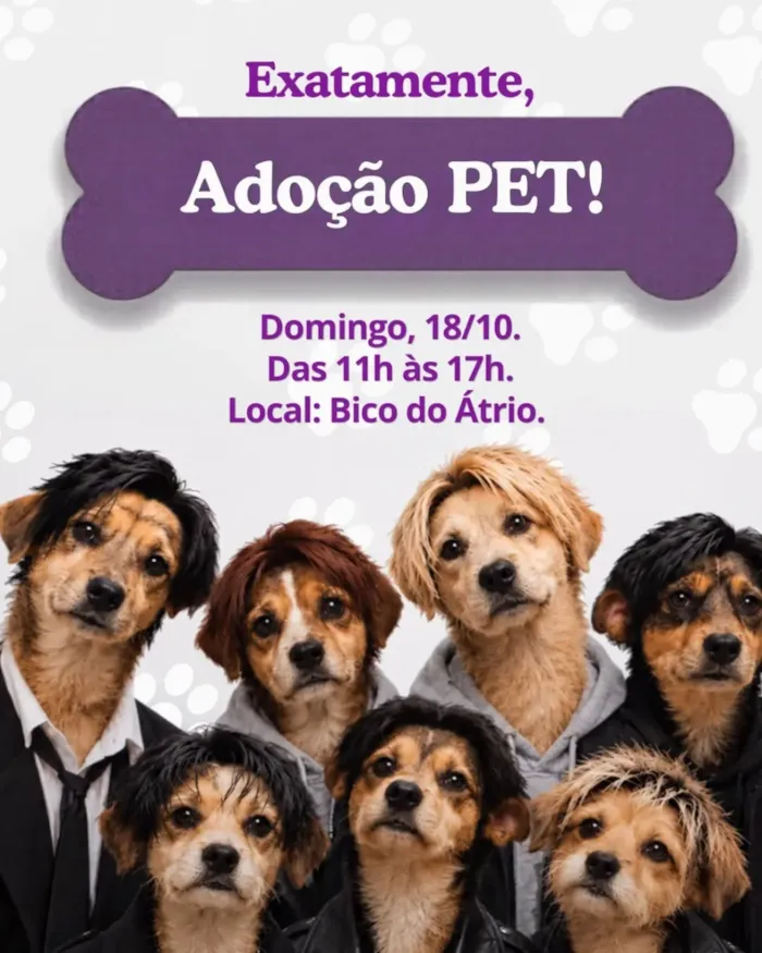 Adoção PET em Londrina: feira no Boulevard Shopping - imagem 2