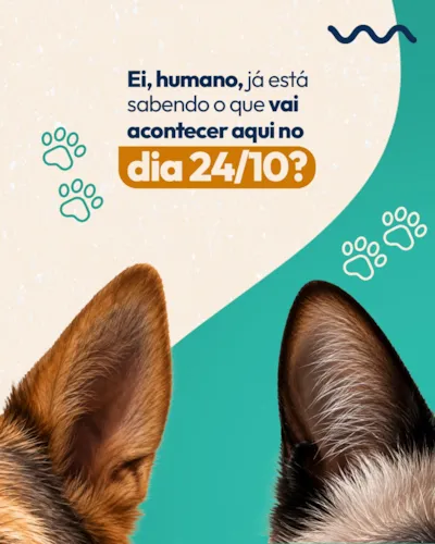 Feira de adoção de cães e gatos em Anápolis