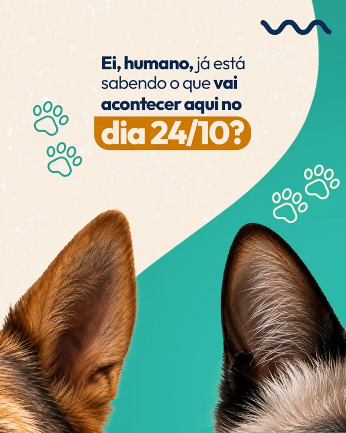 Feira de adoção em Anápolis acontece em 24 de outubro, das 9h às 11h30, no Brasil Park Shopping, com cães e gatos à espera de um lar.