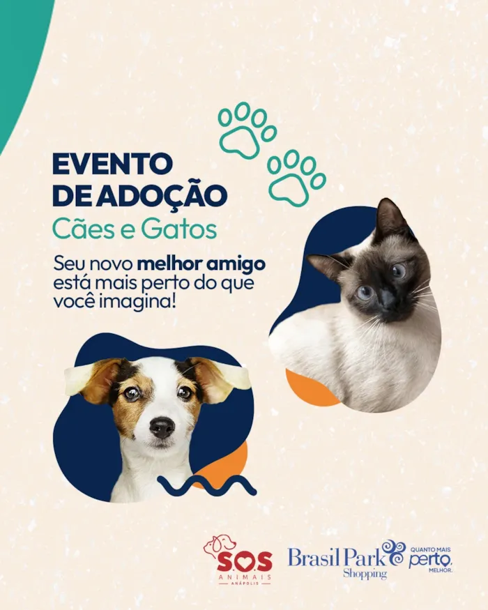 Feira de adoção de cães e gatos em Anápolis - imagem 3