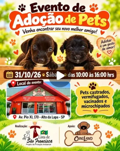 Evento de adoção de cães resgatados em São Paulo