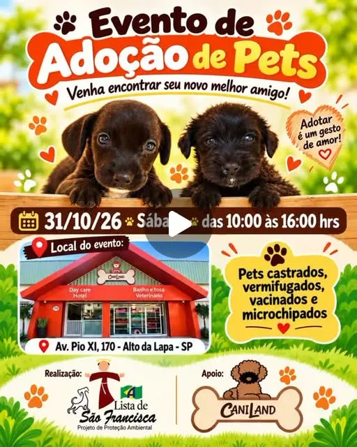Evento de adoção em São Paulo acontece em 31 de outubro, das 10h às 16h, no Caniland, com cães castrados, vacinados e microchipados.