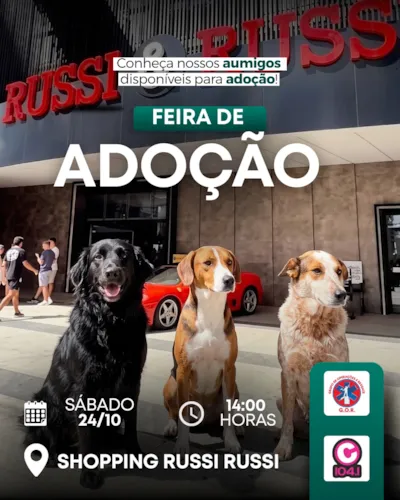 Feira de Adoção G.O.R. em Shopping Russi Russi