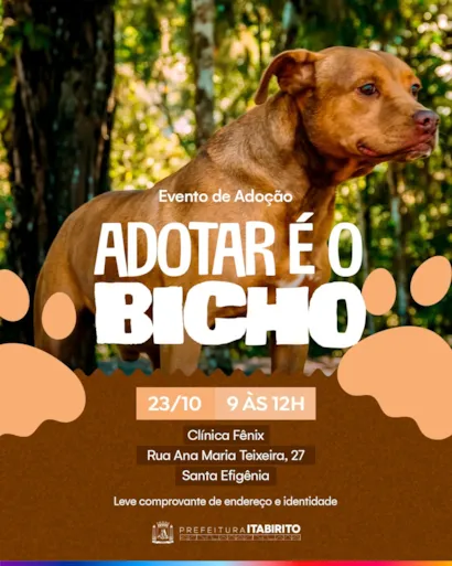 Feira de Adoção em Itabirito: Adotar é o Bicho