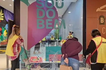 Campanha de adoção em Rio de Janeiro acontece em 24 de outubro, das 13h às 19h, com cães e gatos e orientação da ONG Bichinho Feliz.