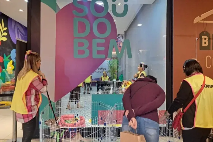 Campanha de adoção em Rio de Janeiro acontece em 24 de outubro, das 13h às 19h, com cães e gatos e orientação da ONG Bichinho Feliz.
