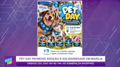 Pet Day: feira de adoção de animais em Marília