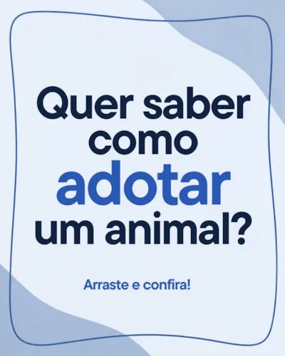 Feira de adoção de cães acontece em Cariacica