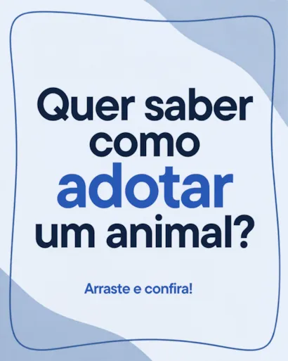 Feira de adoção em Cariacica ocorre sábado, 24 de outubro, das 8h às 13h, com 20 cães vermifugados e microchipados.
