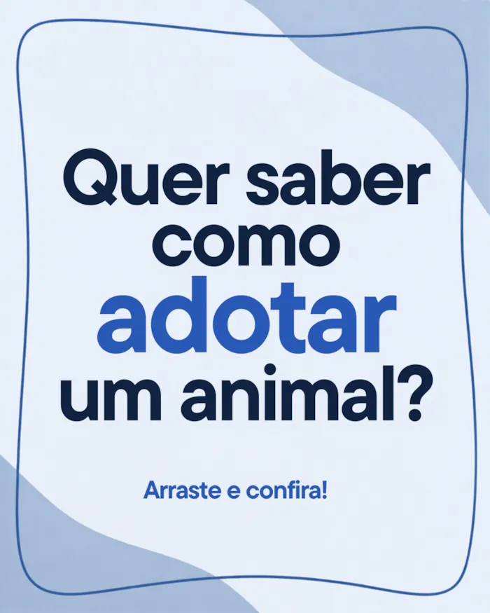 Feira de adoção em Cariacica ocorre sábado, 24 de outubro, das 8h às 13h, com 20 cães vermifugados e microchipados.