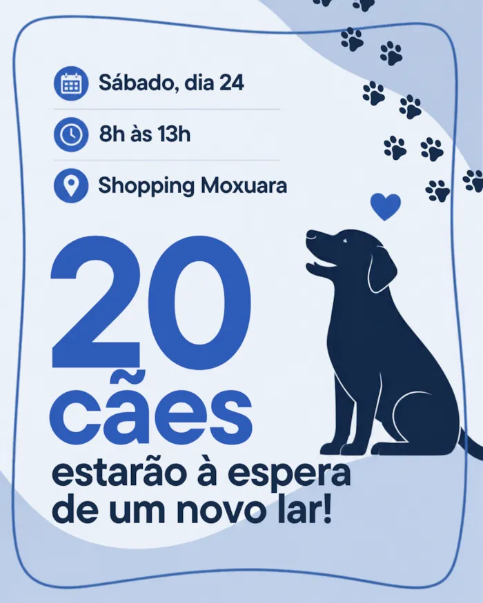 Feira de adoção de cães acontece em Cariacica - imagem 2