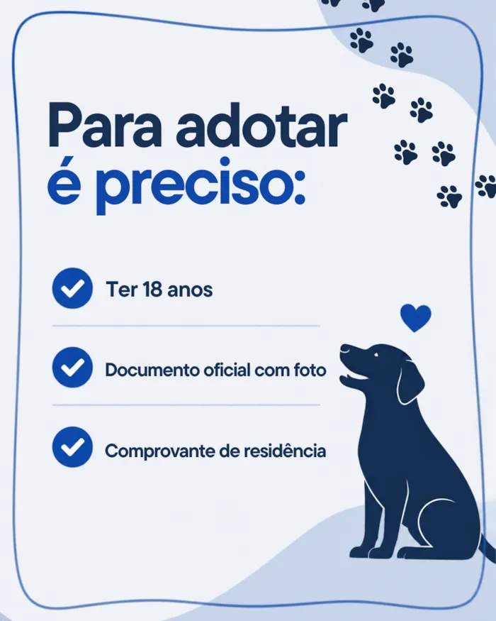 Feira de adoção de cães acontece em Cariacica - imagem 3