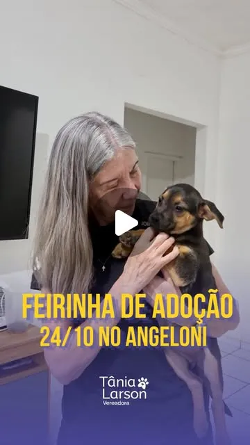 Feirinha de adoção em Joinville acontece em 24 de outubro, das 10h às 16h, com filhotes vacinados, microchipados e encaminhados à castração.