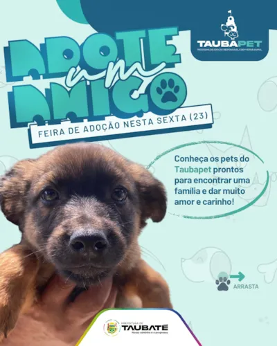 Feira de adoção animal em Taubaté nesta sexta-feira