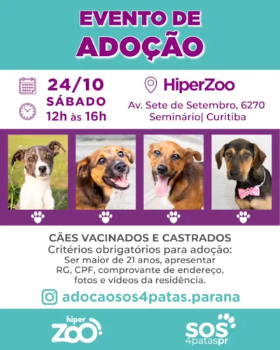 Evento de adoção responsável de cães em Curitiba