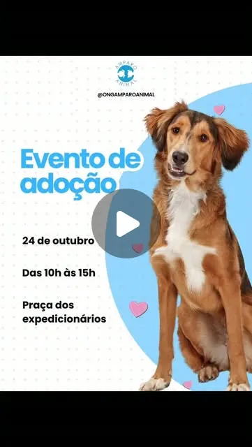 Feira de adoção em Suzano acontece em 24 de outubro, das 10h às 15h, com cães e gatos resgatados na Praça dos Expedicionários.