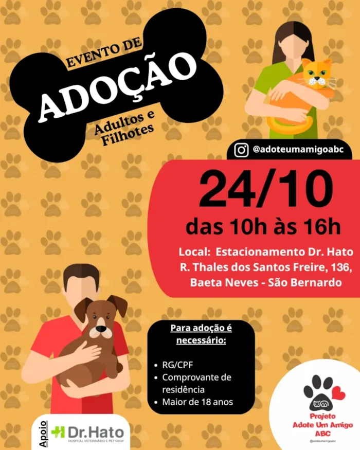 Evento de adoção em São Bernardo do Campo ocorre em 24 de outubro, das 10h às 16h, com cães e gatos adultos e filhotes.