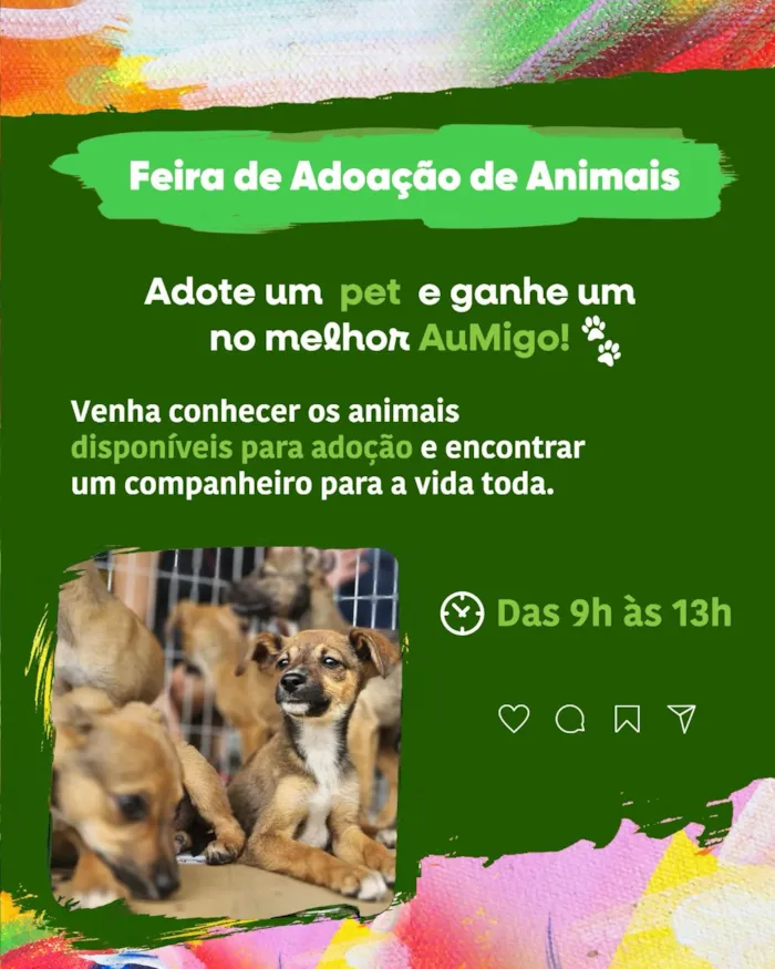 Feira de adoção de animais em Goiânia no sábado - imagem 4