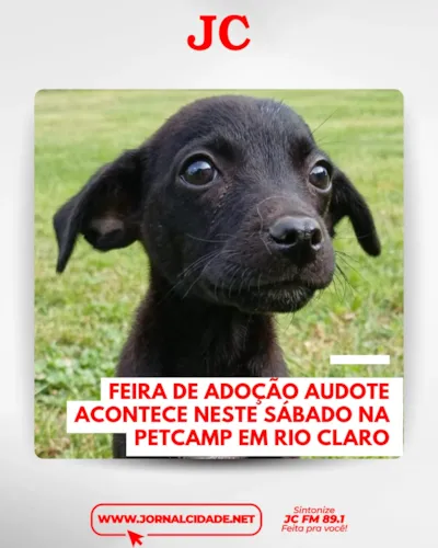 Projeto Audote: feira de adoção em Rio Claro