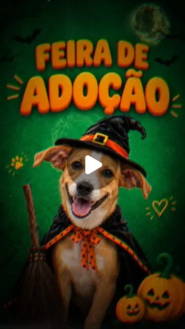 DOGWEEN: feira de adoção em Niterói