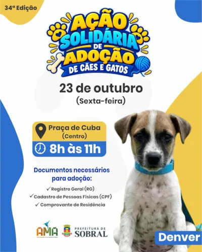 Ação solidária de adoção de cães e gatos em Sobral