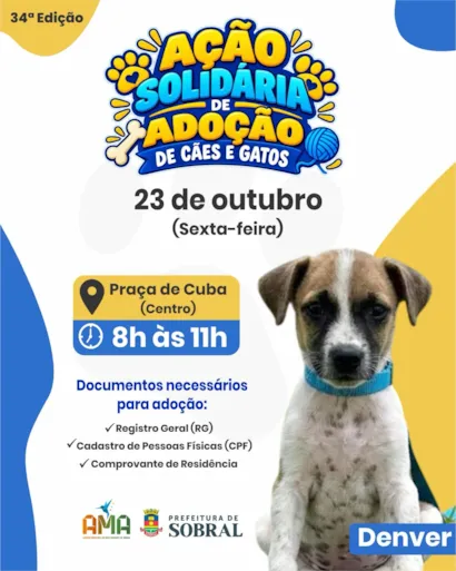 Ação solidária de adoção de cães e gatos em Sobral