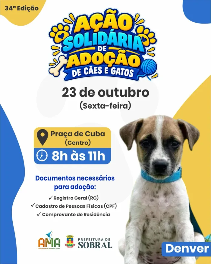 Evento reúne cães e gatos para adoção em Sobral nesta sexta, 23 de outubro, das 8h às 11h, com animais castrados e entrevista.