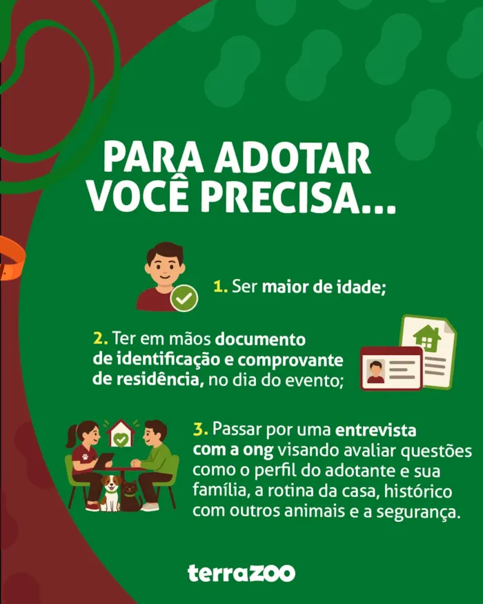 Feira de adoção de cães e gatos em São Luís - imagem 2
