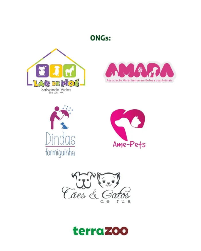 Feira de adoção de cães e gatos em São Luís - imagem 6